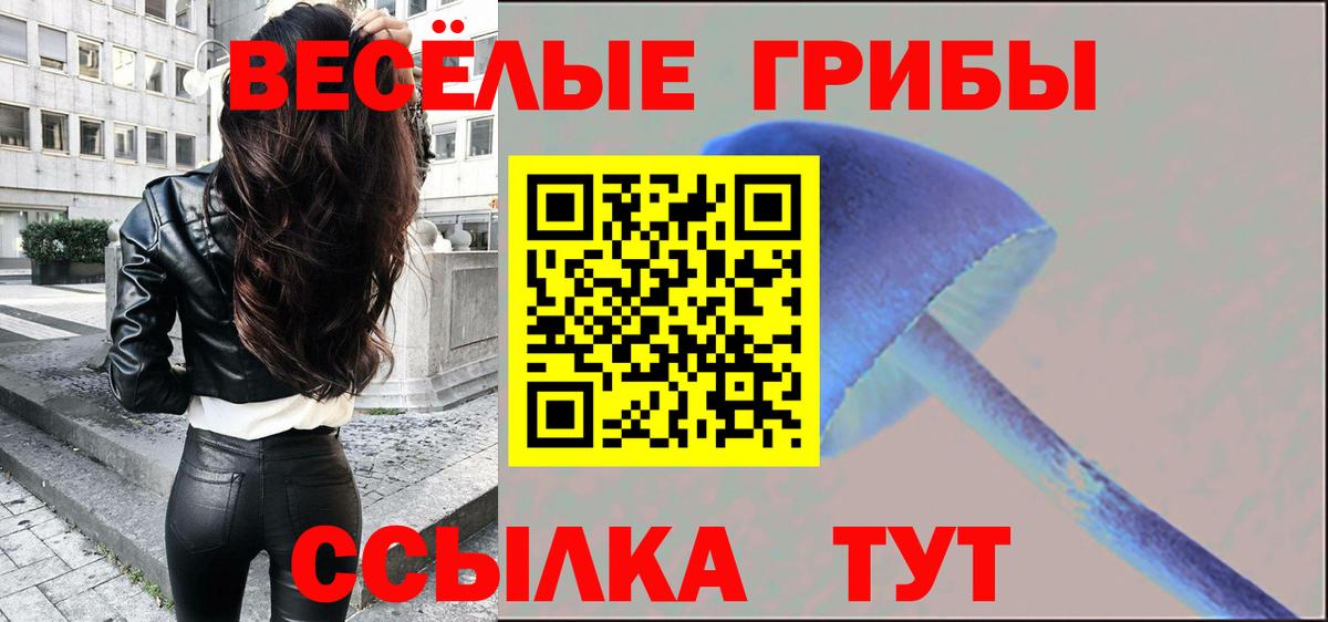 Чехов  как найти наркотики  Псилоцибиновые грибы Psilocybine cubensis  Вход с VPN  Галлюциногенные грибы прущие грибы 